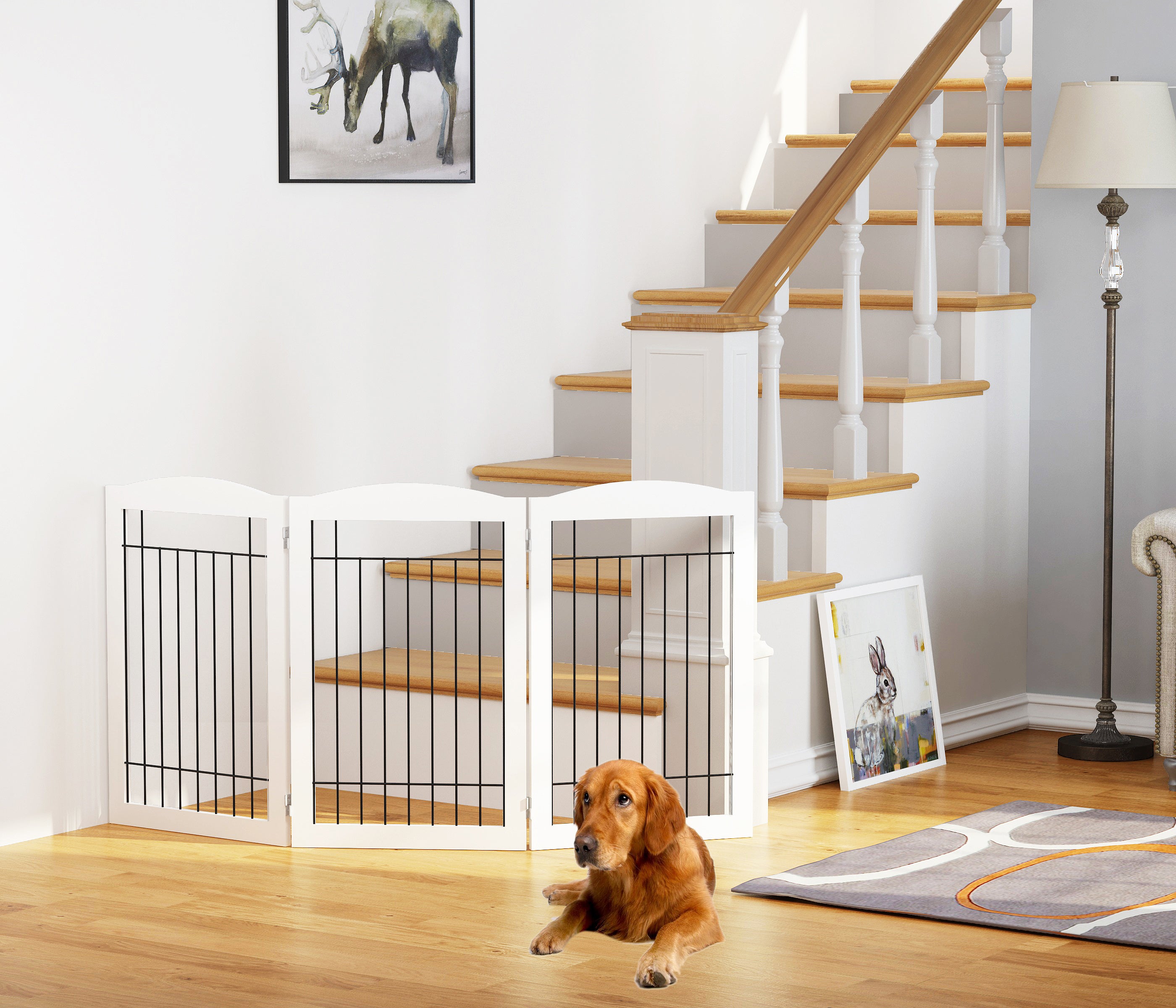Wide hotsell puppy gate